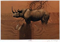 Dr Johan van Rensburg - Rhino Solitude